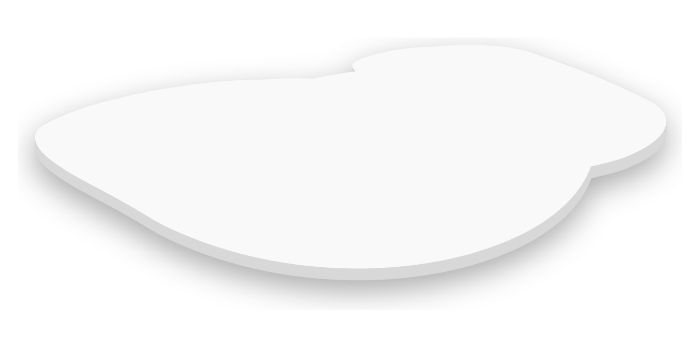 Vinile di qualità