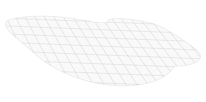 Carta siliconata